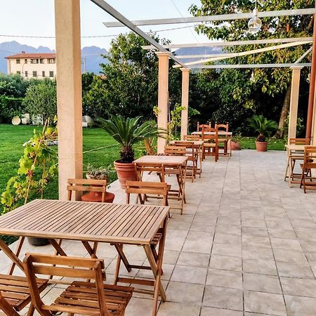 Agriturismo La Vite Maritata Pietrasanta Extérieur photo