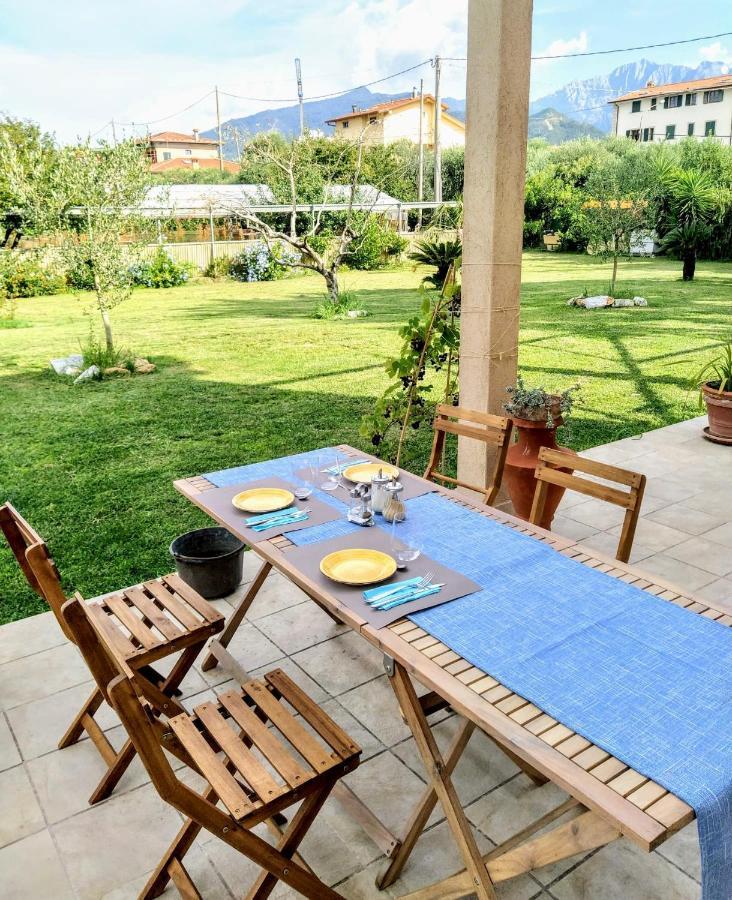Agriturismo La Vite Maritata Pietrasanta Extérieur photo