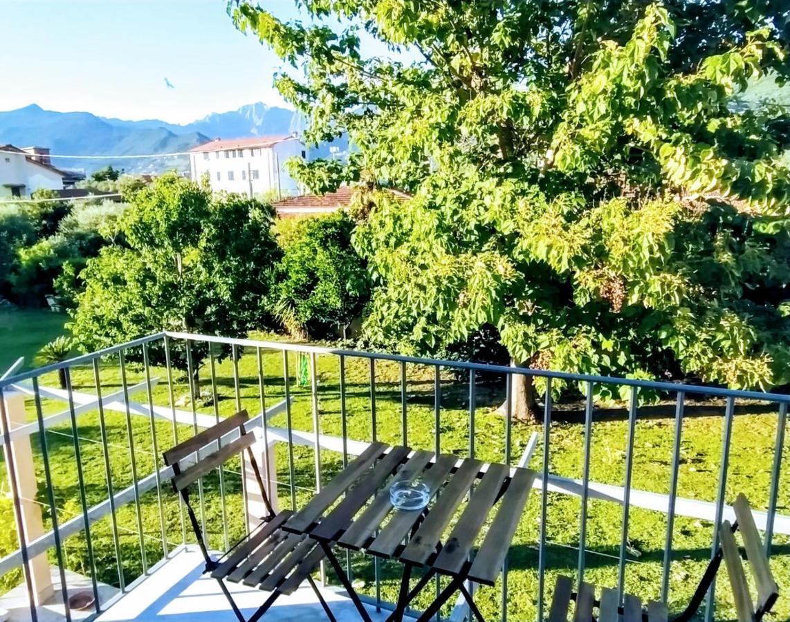 Agriturismo La Vite Maritata Pietrasanta Extérieur photo