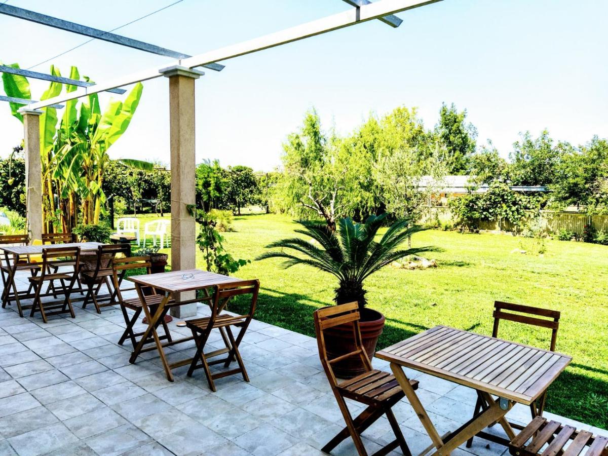 Agriturismo La Vite Maritata Pietrasanta Extérieur photo